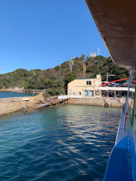 鳥羽湾めぐりとイルカ島に投稿された画像（2025/12/29）