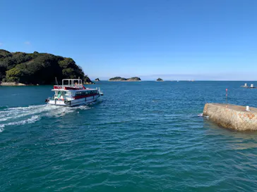 鳥羽湾めぐりとイルカ島に投稿された画像（2025/12/29）