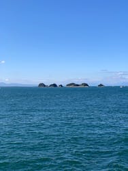 鳥羽湾めぐりとイルカ島に投稿された画像（2025/12/29）