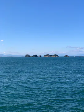 鳥羽湾めぐりとイルカ島に投稿された画像（2025/12/29）