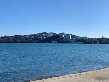 鳥羽湾めぐりとイルカ島に投稿された画像（2025/12/29）