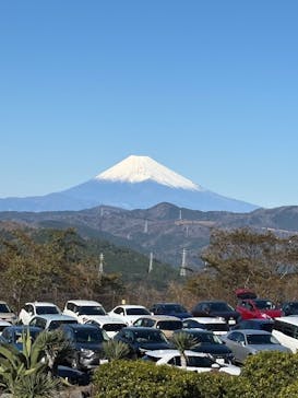 伊豆シャボテン動物公園に投稿された画像（2025/12/29）