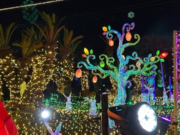 伊豆高原グランイルミに投稿された画像（2025/12/29）