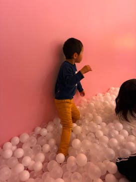 うんこミュージアム NAGOYAに投稿された画像（2025/12/29）