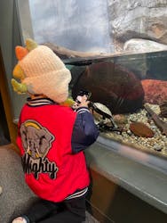 世界淡水魚園水族館　アクア・トトぎふに投稿された画像（2025/12/29）