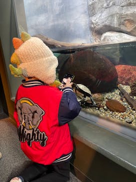 世界淡水魚園水族館　アクア・トトぎふに投稿された画像（2025/12/29）