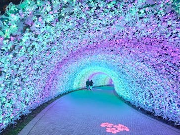 なばなの里に投稿された画像（2025/12/29）