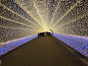 なばなの里に投稿された画像（2025/12/29）