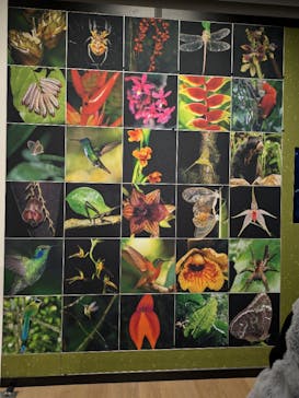 CREVIA マチュピチュ展／CREVIA MACHU PICCHU AND THE GOLDEN EMPIRES OF PERUに投稿された画像（2025/12/29）