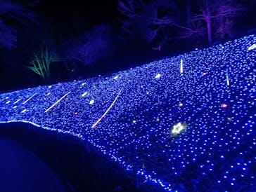 修善寺虹の郷に投稿された画像（2025/12/29）