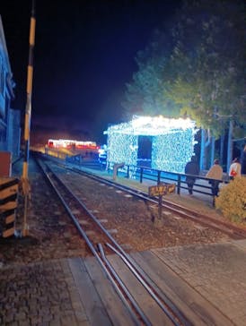 修善寺虹の郷に投稿された画像（2025/12/29）