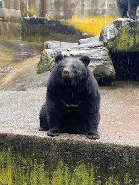 奥飛騨クマ牧場に投稿された画像（2025/12/29）
