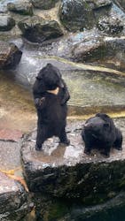 奥飛騨クマ牧場に投稿された画像（2025/12/29）