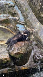 奥飛騨クマ牧場に投稿された画像（2025/12/29）