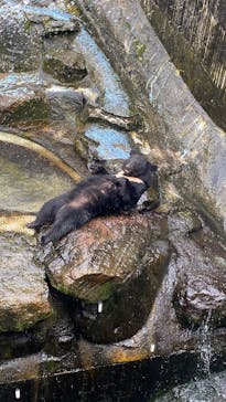 奥飛騨クマ牧場に投稿された画像（2025/12/29）