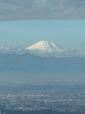 東京スカイツリーに投稿された画像（2025/12/29）