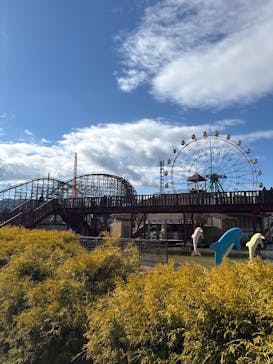 城島高原パークに投稿された画像（2025/12/29）