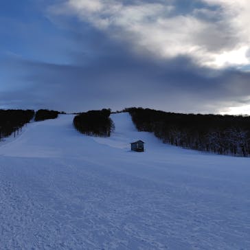 秋田八幡平スキー場に投稿された画像（2025/12/29）