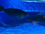 サンシャイン水族館に投稿された画像（2025/12/29）