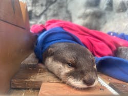 大分マリーンパレス水族館 「うみたまご」に投稿された画像（2025/12/29）