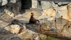 大分マリーンパレス水族館 「うみたまご」に投稿された画像（2025/12/29）