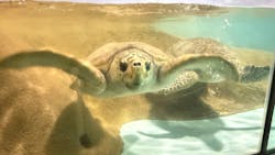 マリンワールド海の中道に投稿された画像（2025/12/29）