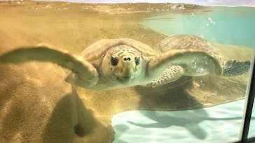 マリンワールド海の中道に投稿された画像（2025/12/29）