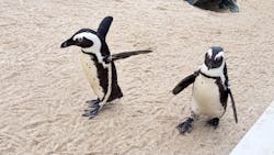 マリンワールド海の中道に投稿された画像（2025/12/29）