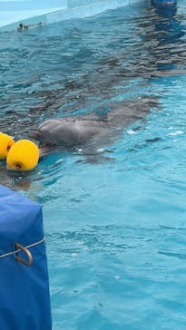 マリンワールド海の中道に投稿された画像（2025/12/29）