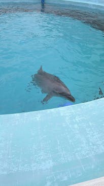 マリンワールド海の中道に投稿された画像（2025/12/29）