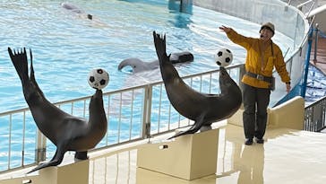 マリンワールド海の中道に投稿された画像（2025/12/29）