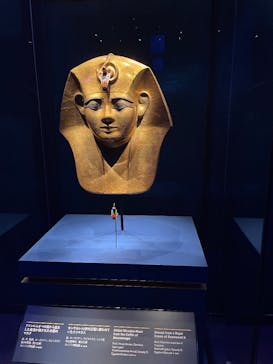 ACN ラムセス大王展 ファラオたちの黄金に投稿された画像（2025/12/29）