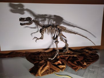 吠える！動く！恐竜ミュージアムに投稿された画像（2025/12/29）