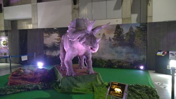 吠える！動く！恐竜ミュージアムに投稿された画像（2025/12/29）