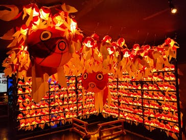 NARA KINGYO MUSEUMに投稿された画像（2025/12/29）