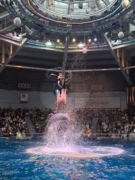 マクセル アクアパーク品川に投稿された画像（2025/12/29）