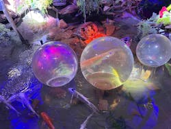 ひらかたパークに投稿された画像（2025/12/29）