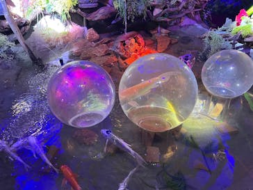 ひらかたパークに投稿された画像（2025/12/29）