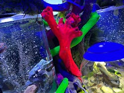 ひらかたパークに投稿された画像（2025/12/29）