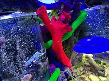 ひらかたパークに投稿された画像（2025/12/29）