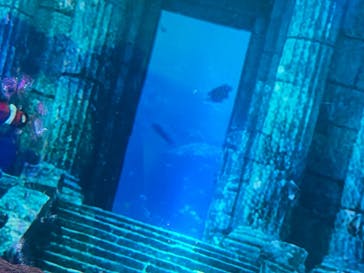 ひらかたパークに投稿された画像（2025/12/29）