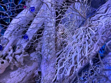 ひらかたパークに投稿された画像（2025/12/29）