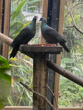 ネオパークオキナワに投稿された画像（2025/12/29）