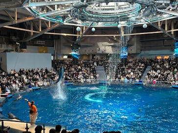 マクセル アクアパーク品川に投稿された画像（2025/12/29）