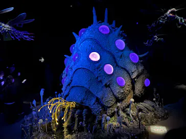 金曜ロードショーとジブリ展（静岡展）に投稿された画像（2025/12/29）