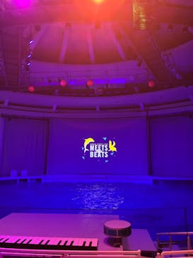 アクアワールド茨城県大洗水族館に投稿された画像（2025/12/29）