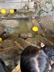 長崎バイオパークに投稿された画像（2025/12/29）