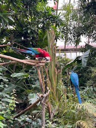 長崎バイオパークに投稿された画像（2025/12/29）