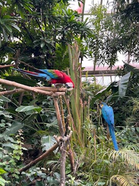 長崎バイオパークに投稿された画像（2025/12/29）