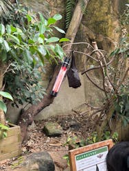 長崎バイオパークに投稿された画像（2025/12/29）